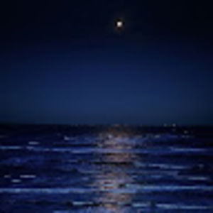 Meet your Posher, Evey